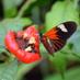 WomenInNatureNetwork (@women4wildlife) Twitter profile photo WomenInNatureNetwork (@women4wildlife) Twitter profile photo