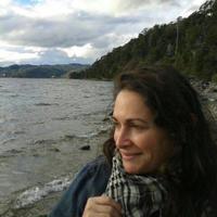Viviana Rinaldi (@vivirpress) 's Twitter Profile