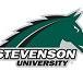 The official Twitter page of Stevenson University Campus Recreation. Find all of your club sports, esports, fitness & intramural sports information here!