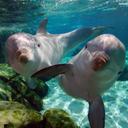 Doris Arellano - @1811mao - Twitter