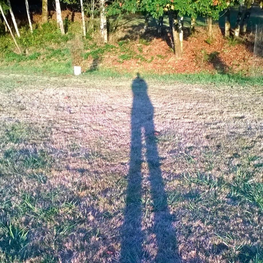 allyessen's profile picture. 