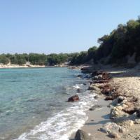filiz çetiner (@filiz_cetiner) Twitter profile photo