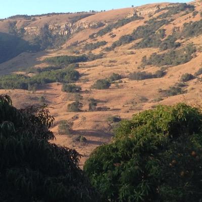 RoslynEdgecomb's profile picture. 