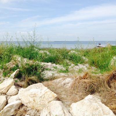 amychirinospic's profile picture. Enjoy life.