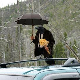 abitterfatbird's profile picture. Very flattering