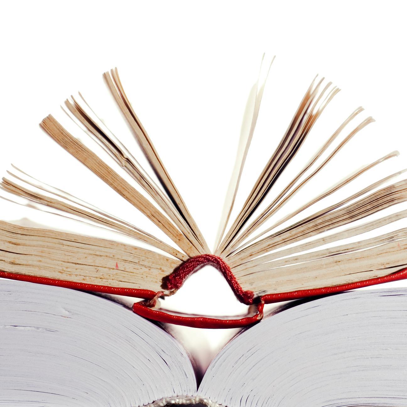 thelibrarytalks's profile picture. The Library Talks is a grant-funded program to bring authors to CA libraries through shared virtual visits. Sign up to host events at your library! #libtalks