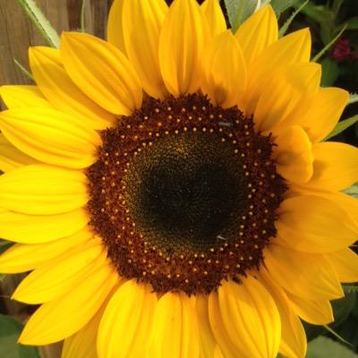 remlap16's profile picture. 