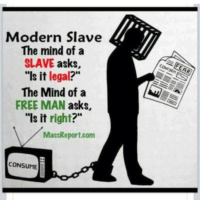 mindovamatta7's profile picture. critical thinker with opinions