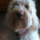 Nancy Jayne Pfaff - @NaJayne - Twitter