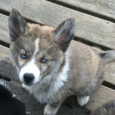 JuliaBerlanga1's profile picture. 