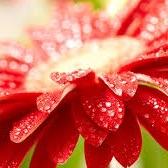 cmalley75's profile picture. Hockey Mom, Army Officer, I/O Psych geek, Northern Ontario Girl, CarltonU & Western U Alumni!