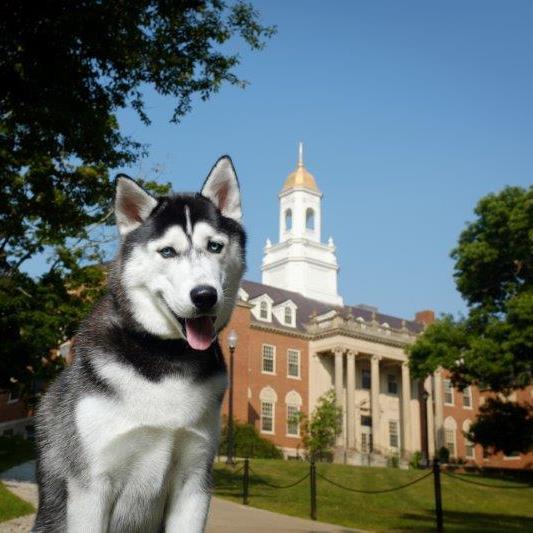 Official Twitter account for the UConn Bursar's Office. 
Follow us for notifications and updates!