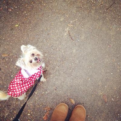 SoakedN_Rabbit's profile picture. ✌️♌️8⃣1⃣9⃣