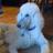 ECincinatus's profile image
