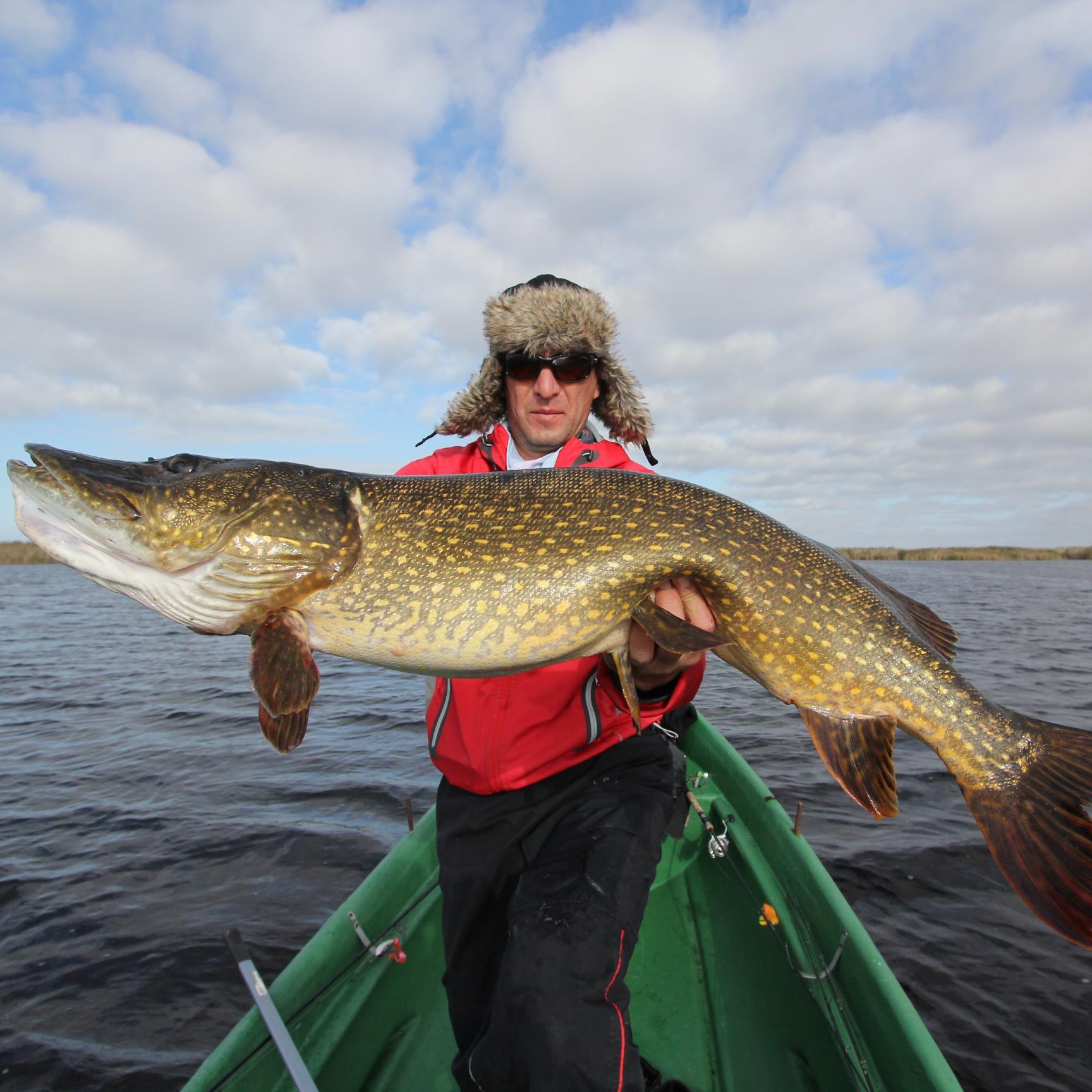 AndyArifandy's profile picture. 