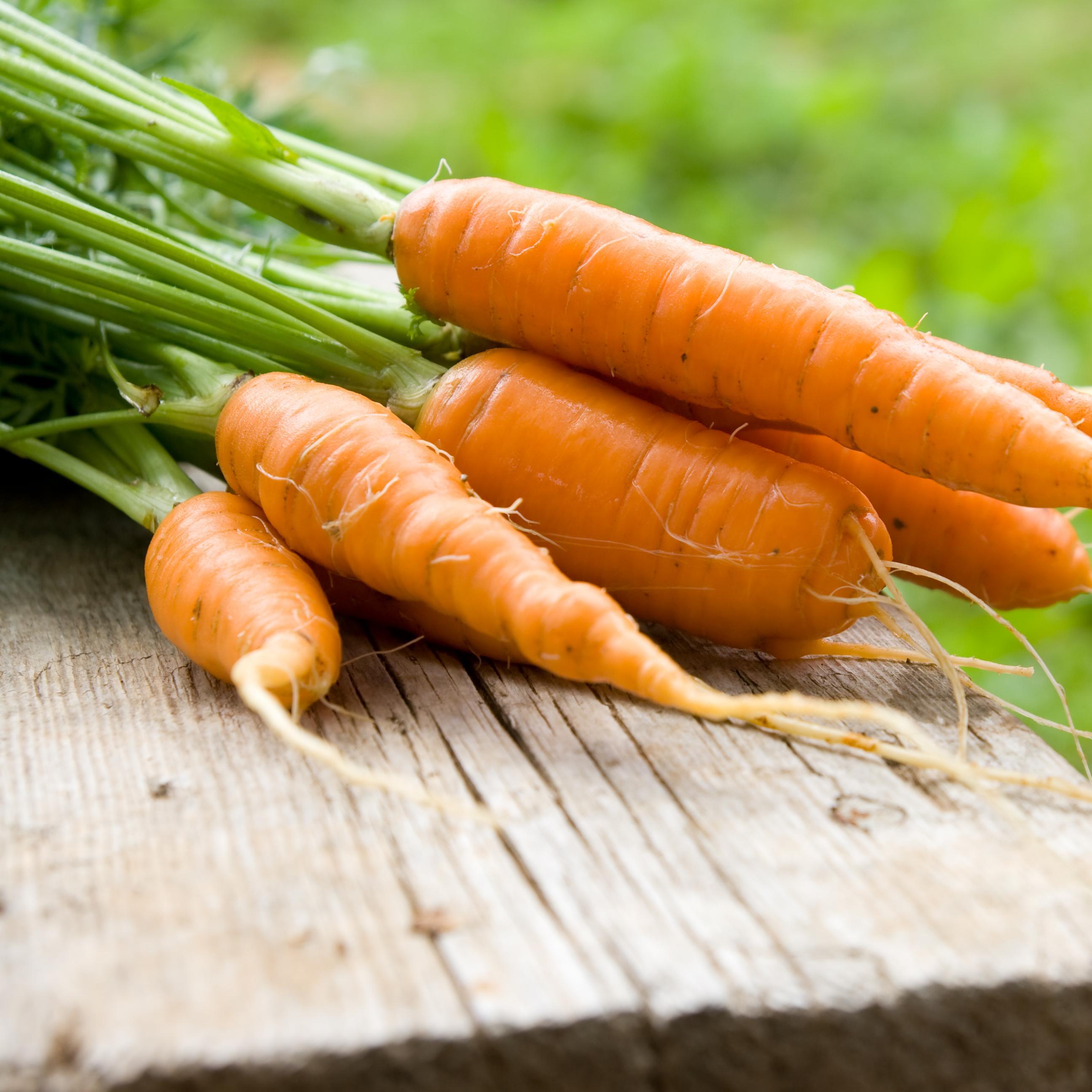 JustFreshyMkt's profile picture. Homegrown, homemade & handcrafted - locally for you! Connecting buyers + sellers - and it's free. Sign up + buy, sell, trade in your hometown. We love local!