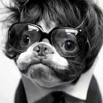 Aqui me gusta, platicar, opinar, construir, criticar, bromear, joder y hasta a ser un hijo de la ching@&# !!