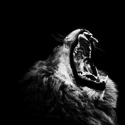 froburzen's profile picture. We were FrZnTIme/IBurz