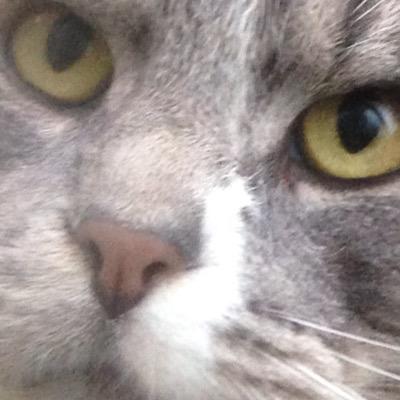 I Strim :)