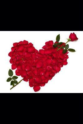 uyuz4535's profile picture. 