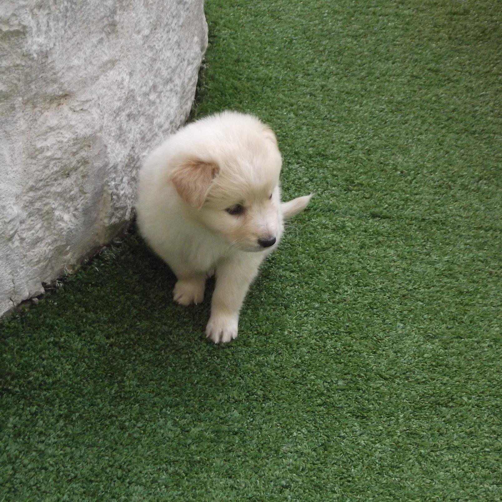 deby_fede's profile picture. 