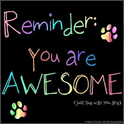 SAIRAHAKHTAR's profile picture. LOVE ALL OF YOU! --16-- follow me on Instagram: xosairah