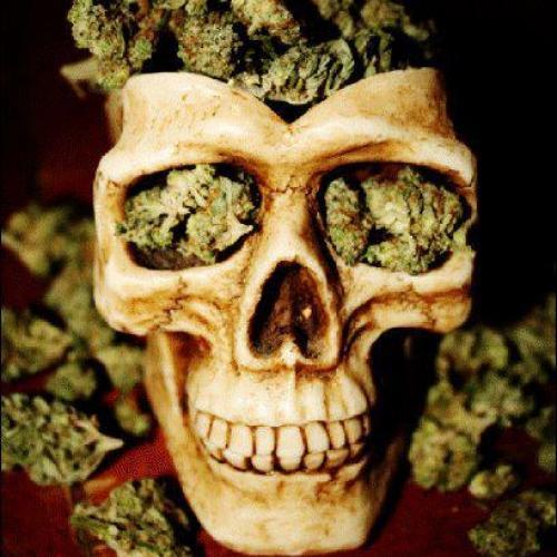 Freedom for María. Weed4Ever. RealMadrid & Mourinho. Æ. #JMTR #420