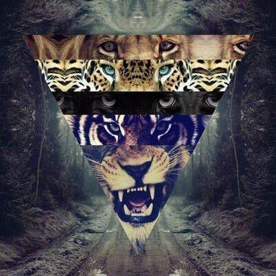 ModvLobbies's profile picture. Tell me what you want to buy.