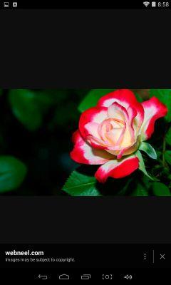 follow me rate 3