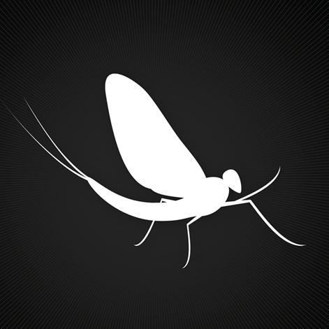 RyanNoel's profile picture. Growth strategy. Family. Fishing. Fitness. Storytelling. Stoicism is the way. Forever battling the Dad Bod.