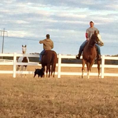 zachplksharp's profile picture. 