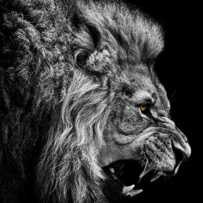 Te_Hollins's profile picture. 