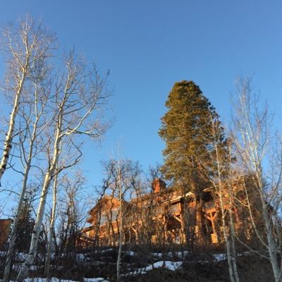 dwmus's profile picture. 