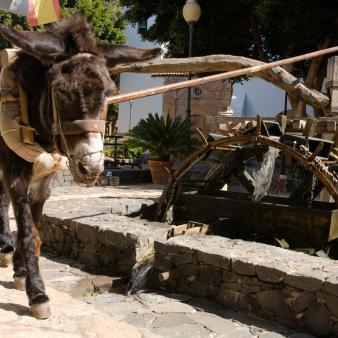 Important dates in the history of the Work, day by day.           Oh blessed perseverance of the donkey that turns the water-wheel!                 The Way, 998