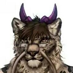 Kurin Pawpadさんのプロフィール画像