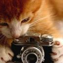 Miau!!! (@0501XX) Twitter