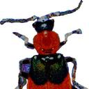 Sandra McDougall - @sandramcdouga11 - Twitter