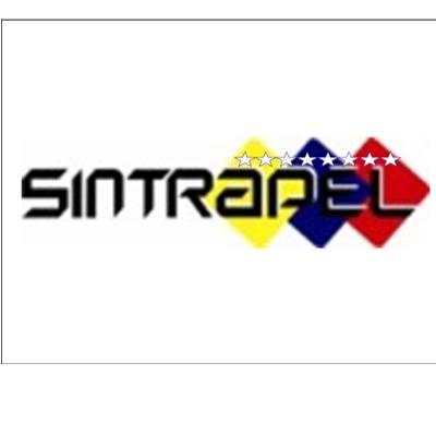 Sindicato Nacional de Trabajadores del Poder Electoral, sindicato mayoritario del Consejo Nacional Electoral, Poder Electoral, CNE