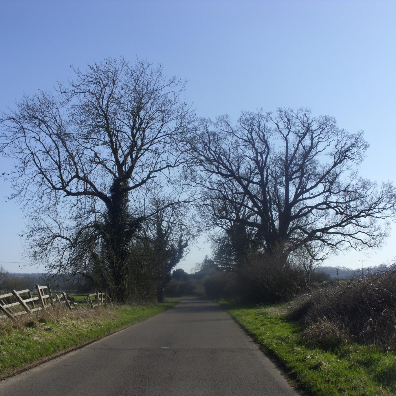 lindarogers18's profile picture. 