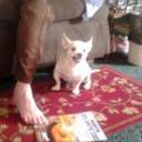 Carol Jaques - @carol71573 - Twitter