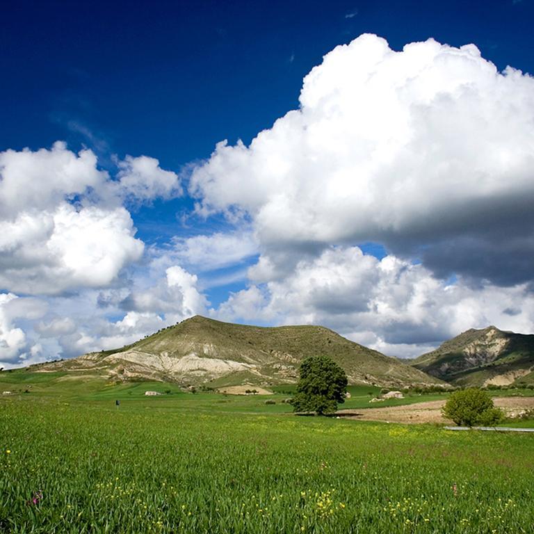 chalitogonza1's profile picture. 