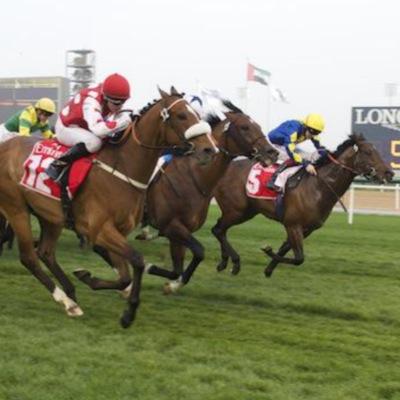 RacingComplete's profile picture. we offer sound advice on horses who are false favourites and overbet, become the bookmaker.