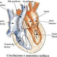 blocco a mia discrezione