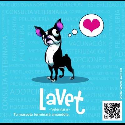 Amo y respeto a mis pacientes, trabajo con medicina alternativa, esterilizaciones, profilaxis dental, consulta general, venta de ropa para mascotas y más.