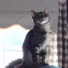 VickiFroh's profile picture. 