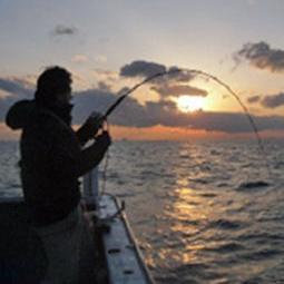 kirksenchou's profile picture. 大阪湾、和歌山、日本海などで船釣りを楽しんでいます。映画、政治・経済、音楽等々、内容バラバラです。一般には非公開で、フォロワーの方のみに公開の設定に変更しました。