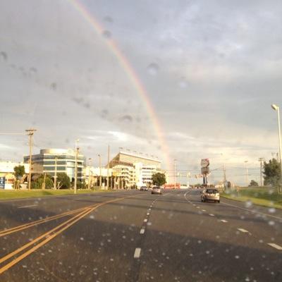 librarian3309's profile picture. 