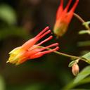 Mary Lou barrett - @mary_mlbarrett - Twitter