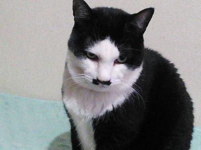 カメラ・ダイビング・食べ歩きが趣味なおっさん
最近はゴルフを初めたのでますますおっさんに磨きがかかってます