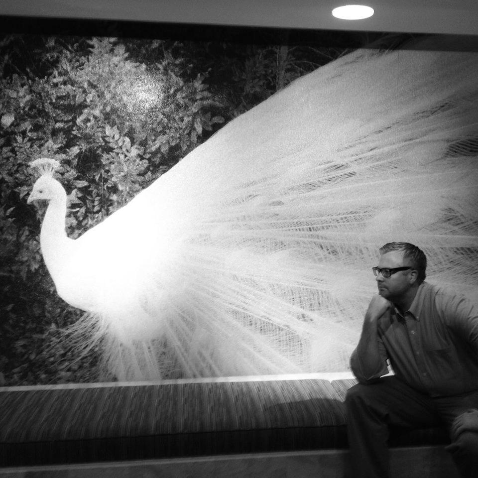 AUPeacock's profile picture. 